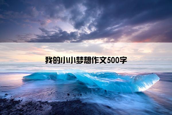 我的小小梦想作文500字