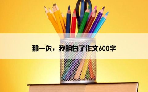 那一次，我明白了作文600字