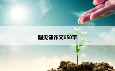 想见你作文550字