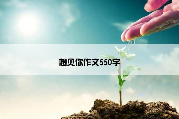 想见你作文550字