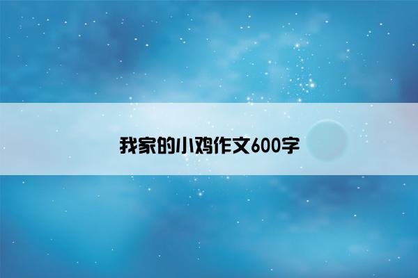 我家的小鸡作文600字