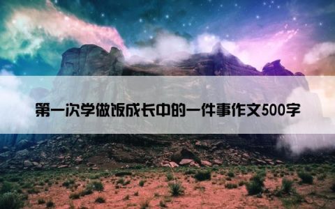 第一次学做饭成长中的一件事作文500字
