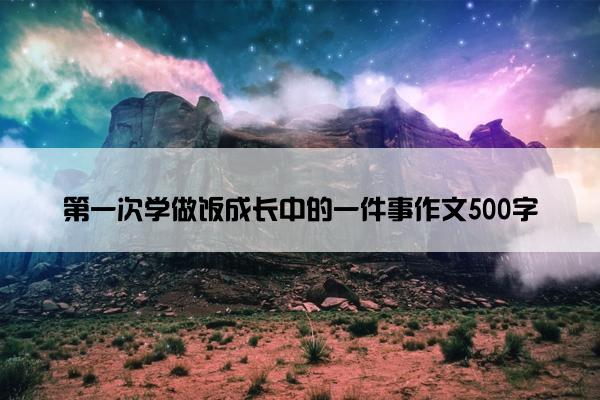 第一次学做饭成长中的一件事作文500字