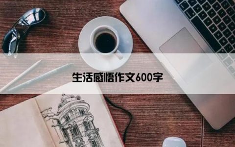 生活感悟作文600字