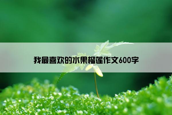 我最喜欢的水果榴莲作文600字