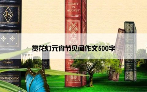 赏花灯元宵节见闻作文500字