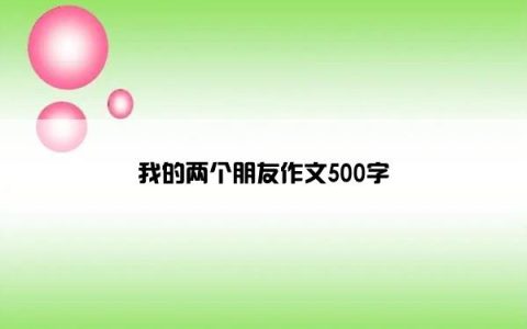 我的两个朋友作文500字