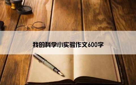 我的科学小实验作文600字