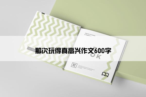 那次玩得真高兴作文600字