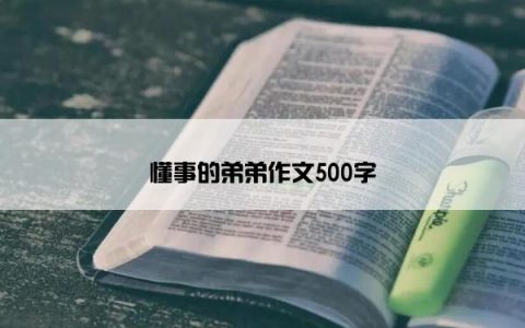 懂事的弟弟作文500字