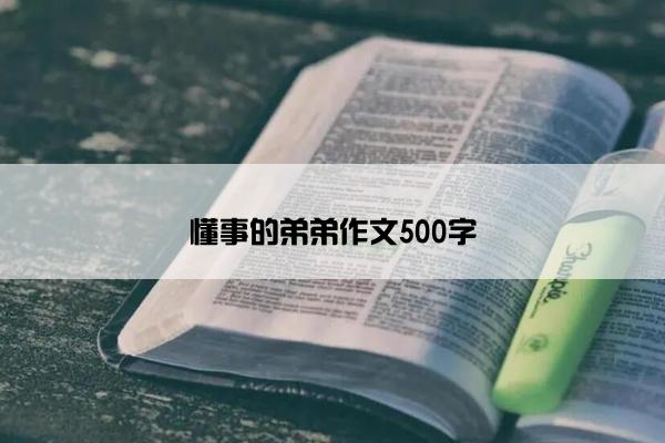 懂事的弟弟作文500字