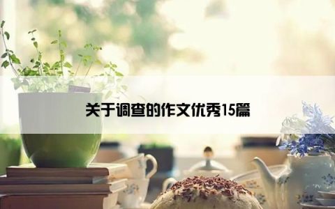 关于调查的作文优秀15篇