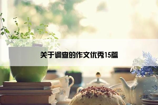 关于调查的作文优秀15篇