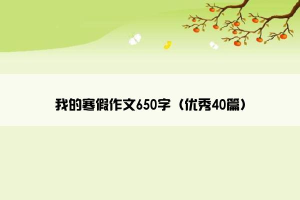 我的寒假作文650字（优秀40篇）