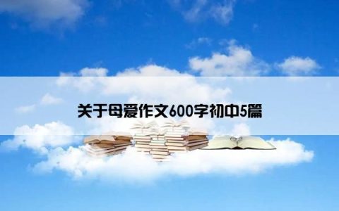 关于母爱作文600字初中5篇