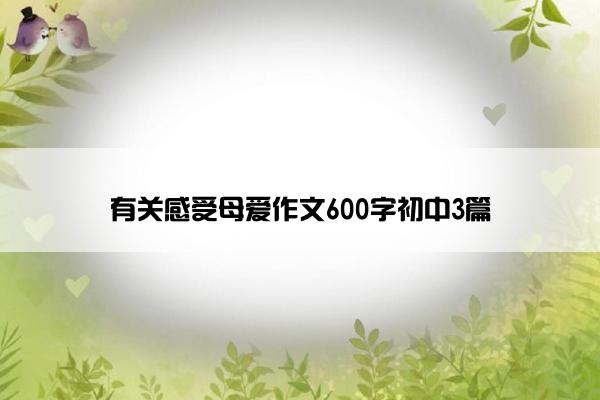 有关感受母爱作文600字初中3篇