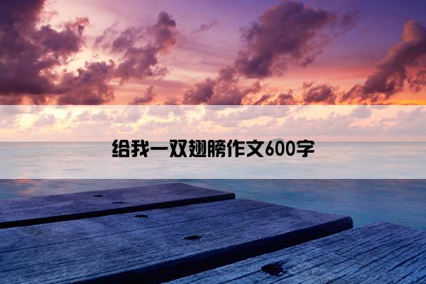 给我一双翅膀作文600字