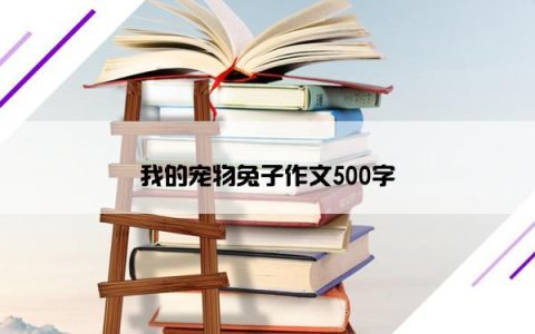 我的宠物兔子作文500字