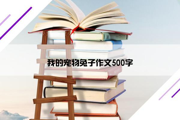 我的宠物兔子作文500字