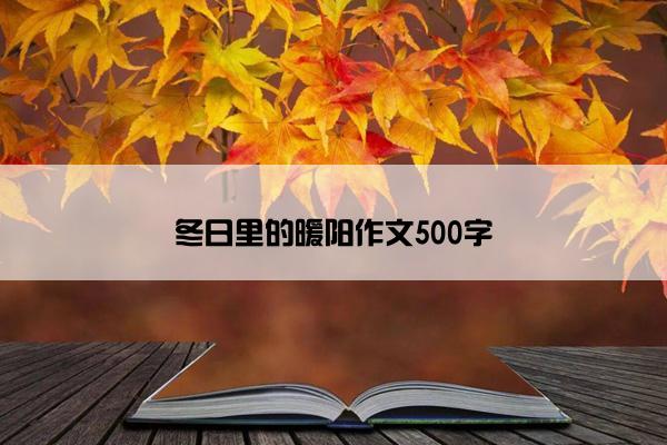 冬日里的暖阳作文500字