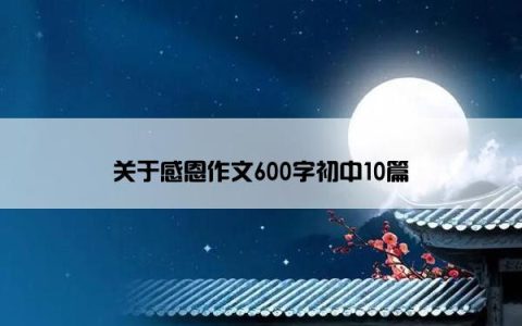 关于感恩作文600字初中10篇