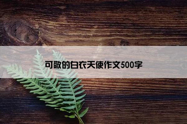 可敬的白衣天使作文500字