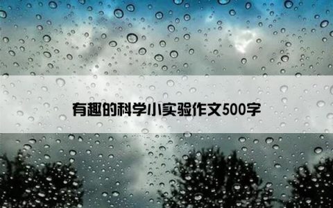 有趣的科学小实验作文500字