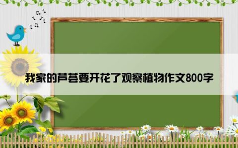 我家的芦荟要开花了观察植物作文800字