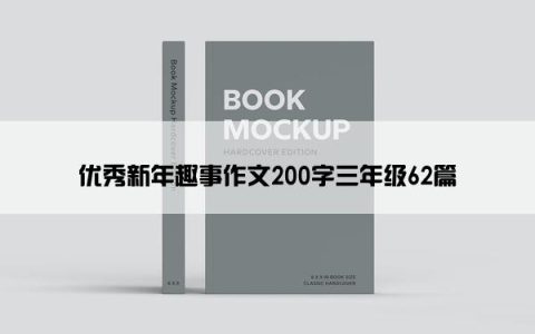 优秀新年趣事作文200字三年级62篇