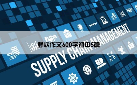 野炊作文600字初中5篇