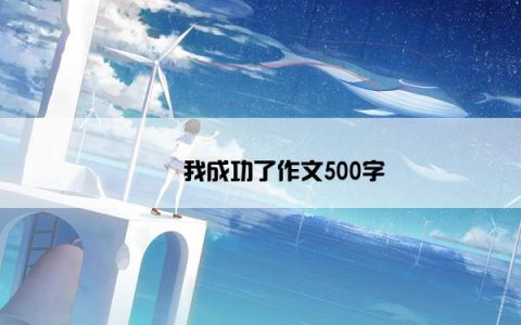 ​​我成功了作文500字