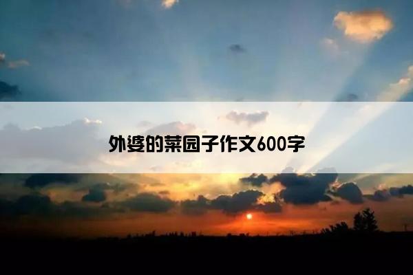 外婆的菜园子作文600字