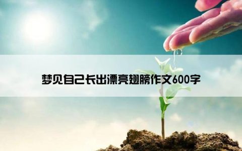 梦见自己长出漂亮翅膀作文600字