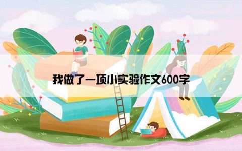 我做了一项小实验作文600字