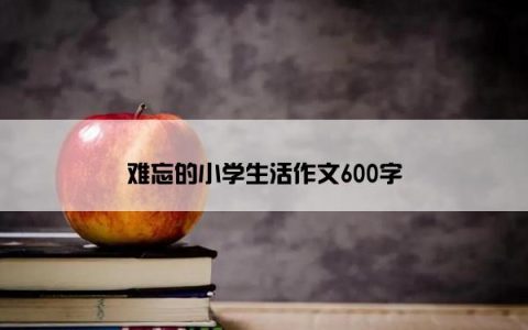 难忘的小学生活作文600字