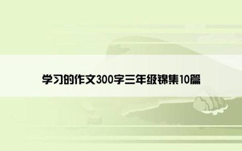 学习的作文300字三年级锦集10篇