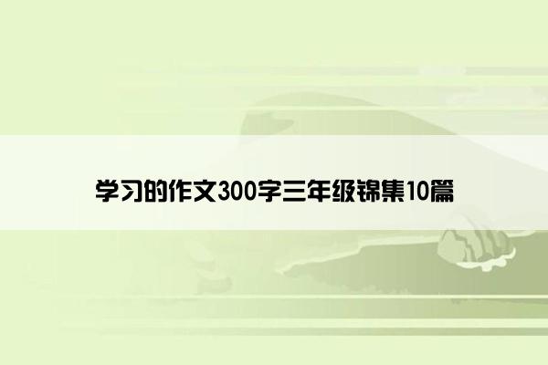 学习的作文300字三年级锦集10篇