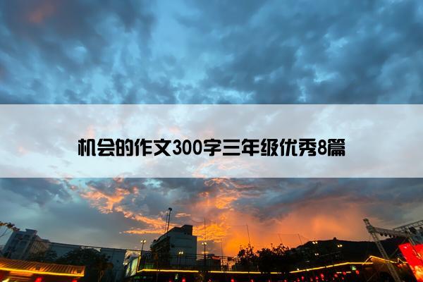 机会的作文300字三年级优秀8篇