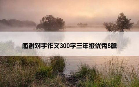感谢对手作文300字三年级优秀8篇