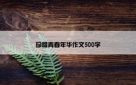 珍惜青春年华作文500字