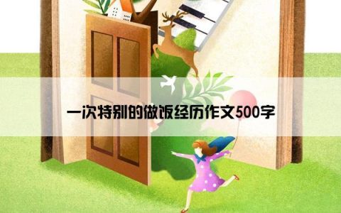 一次特别的做饭经历作文500字
