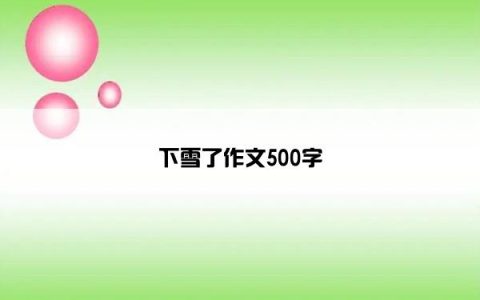 下雪了作文500字