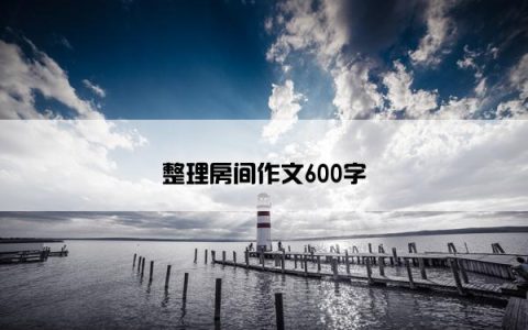整理房间作文600字