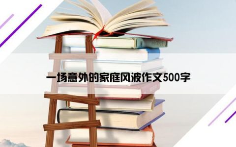 一场意外的家庭风波作文500字