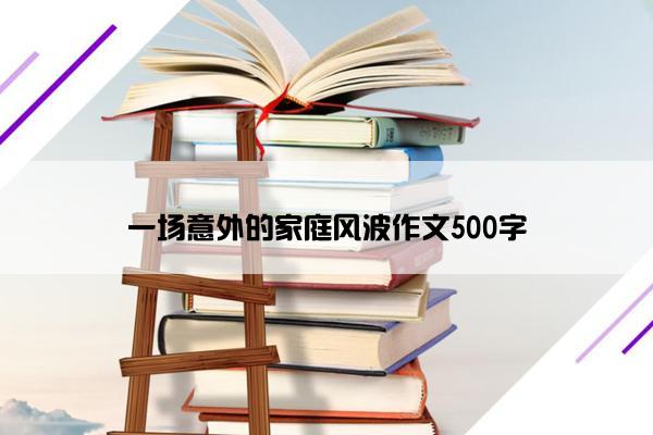 一场意外的家庭风波作文500字