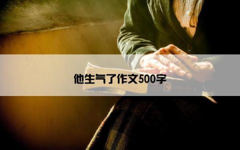 他生气了作文500字