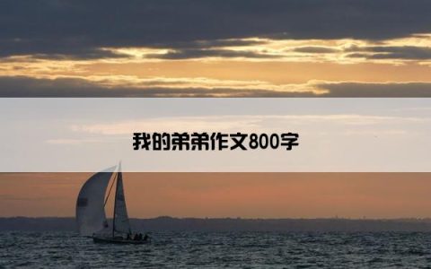 我的弟弟作文800字