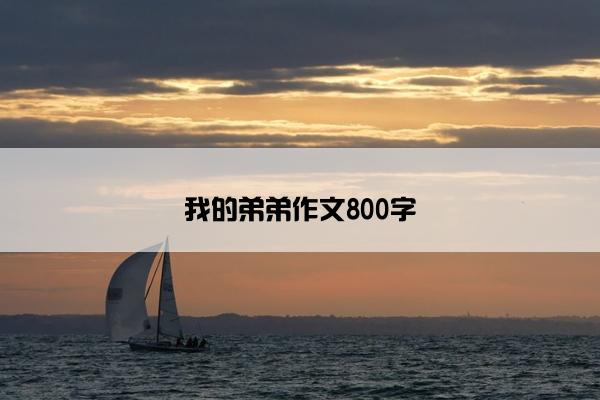 我的弟弟作文800字