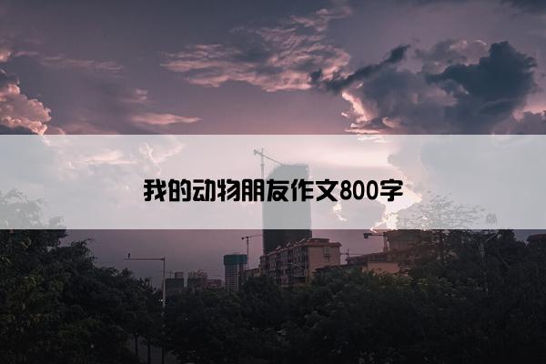 我的动物朋友作文800字