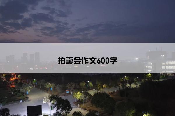 拍卖会作文600字